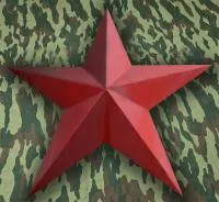 Красная звезда нержавеющая сталь эмаль в Светлогорске (518419)