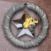 Венок вечный огонь чугун звезда нержавеющая сталь в Светлогорске (518577)
