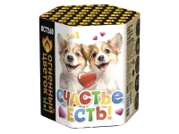 Фейерверк Счастье есть! ОС7260 купить от производителя Огненный Цветок — Светлогорск