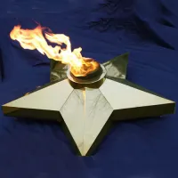 Звезда Ø 1100 - горелка ГВД 379 10 89 00 ПС (1636) в Светлогорске