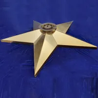 Звезда вечный огонь (1628) поставка комплект горелка ГВД 379 10 89 00 ПС ø 1100 мм. пустотелая  в Светлогорске